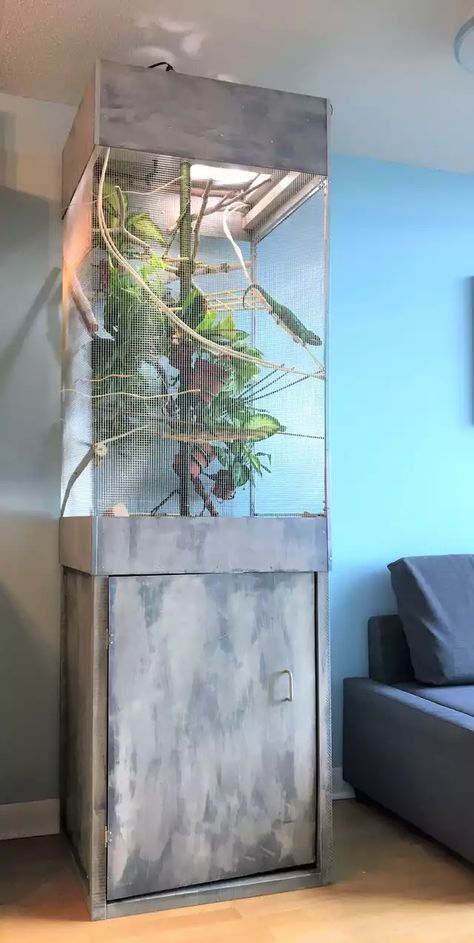 Diy Chameleon Cage, Chameleon Cage Ideas, Chameleon Terrarium, Chameleon Enclosure, Lizard Cage, Iguana Cage, Chameleon Care, Chameleon Cage, Terrariums Diy