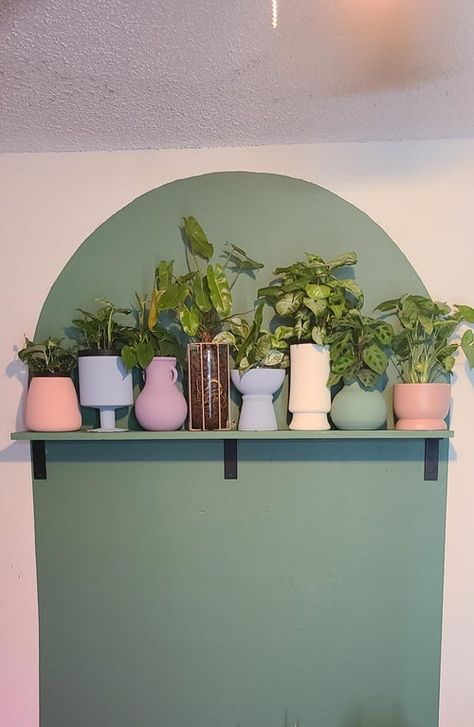 I forgot to show you guys this painted wall arch and shelf that I made to display some of my plants : houseplants Arch Wall With Shelves, Arch Painted On Wall Bedroom, Painted Wall Shelves, Wall Arch Paint, Paint Arch On Wall, Arch Painted On Wall, Painted Arch Accent Wall, Arch Bedroom, Painted Arch