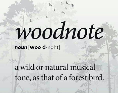 Nature Words Simple, Nature Words Unique, Beautiful Nature Words, Forest Words, Enchanting Words, Nature Words, Unique Words Definitions, Uncommon Words, Fancy Words