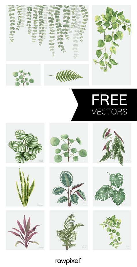 Botanical Leaf Illustration, Free Plant Printables, Art Gallery Design, Botanical Prints Free, Motif Jungle, Art Galleries Design, Free Printable Wall Art, Free Printable Art, 수채화 그림