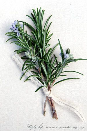 Rosemary Wedding Decor, Rosemary Decorations, Rosemary Flower Bouquet, Rosemary In Bouquet, Rosemary Boutonniere, Rosemary In Wedding Bouquet, Baptist Wedding, Croatian Wedding Rosemary, Rosemary Decor