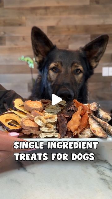 JADE THE SABLE GSD on Instagram: "6 Single Ingredient Dog Treat Recipes 🐶 Don’t forget to save this recipe and follow us for more  - I hope everyone enjoys this very easy and healthy one ingredient dog treats recipe! We did these in a dehydrator but we share oven directions as well. We made chicken jerky, sweet potato chews, apple chips, banana chips, beef jerky and dried sardines crisps!  #dogtreats #dogjerky #homemadedogtreats #dog #germanshepherd #dogs #dogrecipe" Chicken Jerky Recipes Dehydrator Dog Treats, Freeze Dry Dog Treats, Dog Jerky Recipes, Dog Chicken Jerky, Chicken Dog Treats Recipes, Dried Sardines, Dehydrator Dog Treats, Jerky Recipes Dehydrator, Turkey Dog Treats