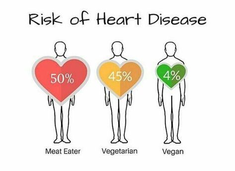 risk of heart disease meat eater vs #vegetarian and #vegan #health Vegan Facts, Reduction Diet, How To Become Vegan, Vegan Memes, Animal Agriculture, Why Vegan, Vegan Quotes, Going Vegetarian, Vegan Inspiration