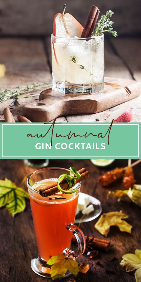 Gin Cocktails For Fall, Fall Gin And Tonic Recipe, Spiced Gin Cocktail, Festive Gin Drinks, Fall Drinks With Gin, Fall Cocktails With Gin, Fall Gin And Tonic, Hot Gin Drinks, Autumn Gin Cocktail