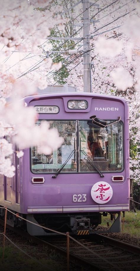 Lilac Scenery, Purple Aesthetic Photos, Violet Minimalist, Am Wallpaper, Uicideboy Wallpaper, Train Aesthetic, Japan View, Light Purple Wallpaper, Purple Vibe