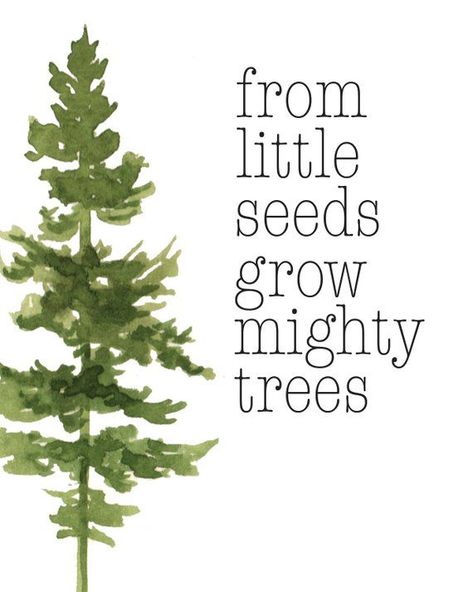 From Small Seeds Grow Mighty Trees, Tree Quotes, Tree Watercolor, Tree Art, Tree Print, Green, Green Check more at http://decoration.stream/from-small-seeds-grow-mighty-trees-tree-quotes-tree-watercolor-tree-art-tree-print-green-green/ Pallet Tree, Tree Quotes, Green Quotes, Tree Watercolor, Plants Quotes, Save Trees, Watercolor Tree, Garden Quotes, Art Tree