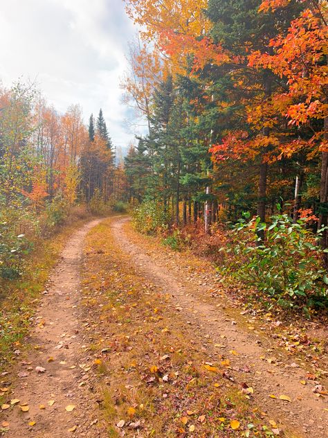 Autumn Canada Aesthetic, French Canadian Aesthetic, Canada Core Aesthetic, Maple Leaf Aesthetic, Maple Aesthetic, Canadian Autumn, Canadian Aesthetic, Fall In Canada, Canada Autumn