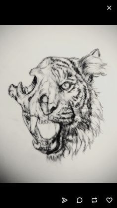 Half Skull Half Face Drawing, Half Skull Tattoo, Animal Skull Drawing, Half Face Drawing, Atlas Tattoo, Tiger Skull, Half Skull, Skull Illustration, Skull Tattoo Design