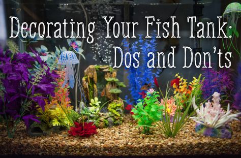 Glofish Tank, Cool Fish Tank Decorations, Fish Aquarium Decorations, Fish Tank Themes, Diy Fish Tank, Cool Fish Tanks, Tropical Fish Tanks, Tropical Fish Aquarium, Tropical Freshwater Fish