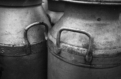 Milk churns Milk Industry, Milk Bucket, Antique Milk Jug, Milk Churn, Cow Creamers Vintage, Milk Cans, Down On The Farm, Floral Display, Farm Life