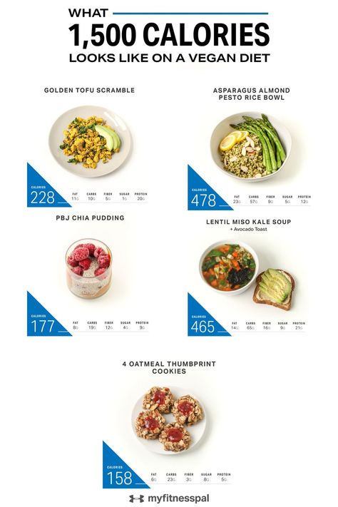 Research shows a vegan diet can help improve cholesterol levels, keep blood sugar levels stable and promote healthy weight maintenance. That’s why eating a more plant-based diet is a great option if you’re trying to eat healthier. To give you an idea of what a 1,500-calorie day filled with vegan food looks like, save this sample menu, complete with cookies for dessert. #myfitnesspal #vegandiet #plantbaseddiet #weightloss #weightmaintence #cleaneating #vegan #veganfoods #veganmenu #veganrecipes 1200 Vegan Calorie Meal Plan, Vegan 1000 Calorie Meal Plan, 1200 Calorie Plant Based Meal Plan, Vegetarian 1500 Calorie Meal Plan, 1000 Kcal Meal Plan, Vegan 1500 Calorie Meal Plan, 1600 Calorie Vegan Meal Plan, Calorie Deficit Meal Plan Vegan, 1300 Calorie Meal Plan Vegetarian