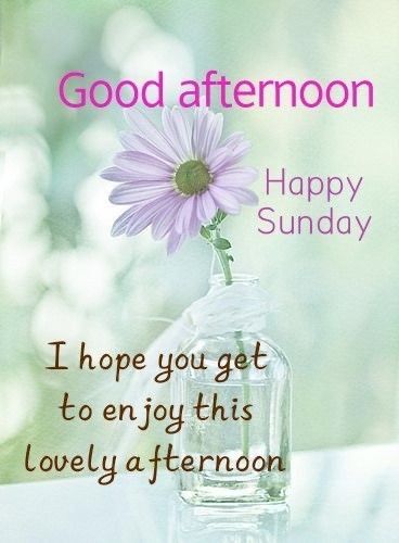 Good Afternoon Sunday Quotes, Happy Sunday Afternoon Quotes, Good Afternoon Sunday Blessings, Sunday Afternoon Greetings, Sunday Afternoon Blessings, Good Afternoon Happy Sunday, Sunday Afternoon Quotes, Happy Sunday Afternoon, Have A Nice Afternoon