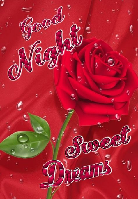 Wet Rose Good Night Sweet Dreams night good night quotes sweet dreams morning nights days Sweet Dreams Pictures, Photos Of Good Night, New Good Night Images, Lovely Good Night, Good Morning Happy Saturday, Good Night Love Quotes, Good Night Wallpaper, Romantic Good Night, Good Night Images