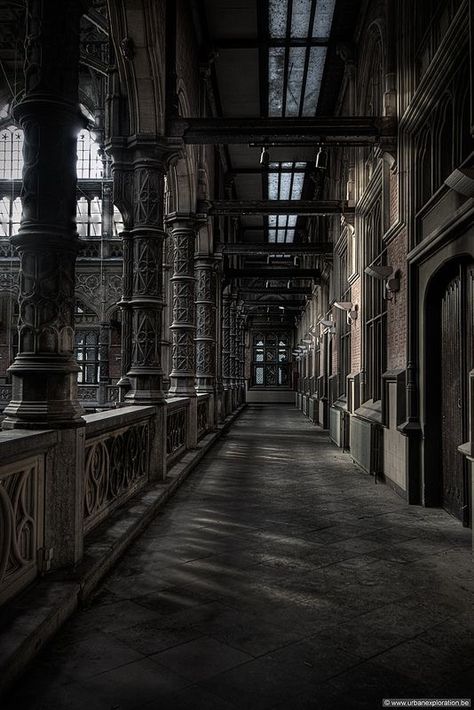 Mansion Corridor, Goth Architecture, Story Prompt, Gothic Mansion, Angel Falls, Gothic Buildings, Building Aesthetic, Dark Castle, Photography Board