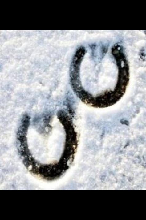 Hoof prints in the snow Black Knight Satellite, Horses In Snow, Hoof Print, Wedding Horseshoes, Unexplained Mysteries, Into The West, Horse Posters, I Love Horses, Equestrian Life