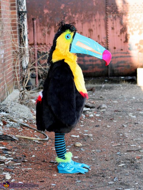 Penguin and Toucan - Homemade costumes for girls Diy Toucan Costume, Tucan Costume Diy, Toucan Sam Costume, Rio Bird Halloween Costume, Rio Bird Costume Women, Toucan Costume, Blue Macaw Costume, Bird Costumes, Kinds Of Weather