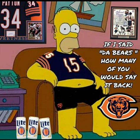 Chicago Bears Memes, Chicago Bears Funny, Bears Funny, Chicago Bears Wallpaper, Chicago Bears Pictures, Bear Meme, Nfl Funny, Chicago Bears Football, Bears Football