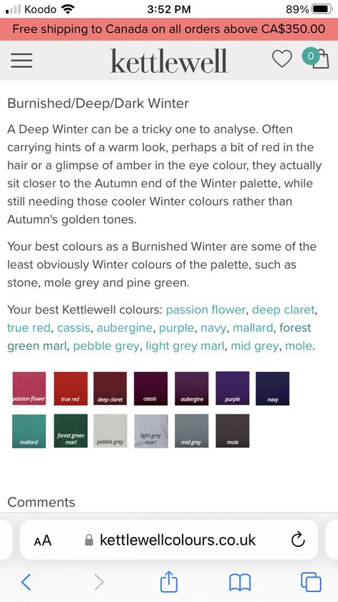 Toasted Soft Deep Winter, Burnished Winter Palette, Winter House Of Colour, Burnished Winter, Seasonal Analysis, Season Palette, House Of Colour, Deep Winter Palette, Colour Season