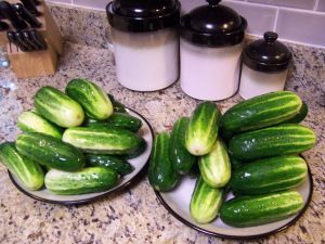 7 Day Sweet Pickles, 7 Day Pickles Recipe, Sweet Baby Gerkin Pickles, 7 Day Sweet Pickle Recipe, Dutch Meatloaf Recipe, Sweet Gherkin Pickle Recipe, Canning Syrup, Pickles Homemade Easy, Amish Baking