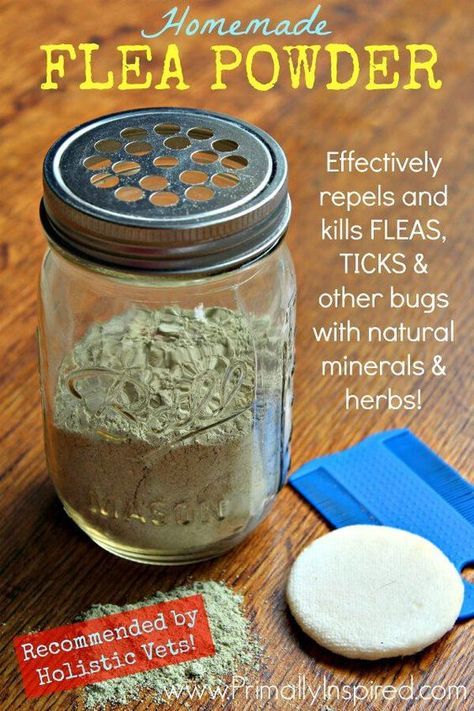 Flea Powder For Dogs, Homemade Flea Spray, Flea Spray For Dogs, Dog Flea Remedies, Home Remedies For Fleas, Flea Powder, Flea Remedies, Pet Remedies, Flea Repellent