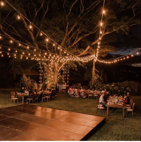 Wedding Outside Reception, Wedding Pathway Lights, Night Outdoor Reception, Lights Hanging From Trees Wedding, Wedding Reception Outdoor Night, Firefly Lights Wedding, Fairy Light Gazebo Wedding, Wedding Tent With String Lights, Wedding Cottagecore Aesthetic