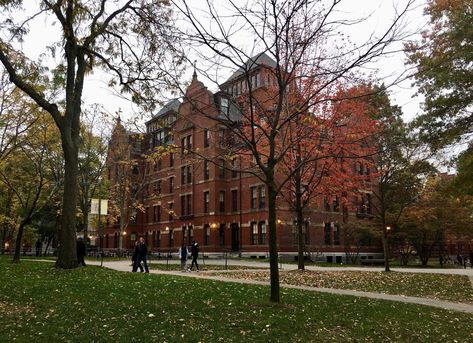 Harvard Fall Aesthetic, Harvard In The Fall, Harvard University Campus Aesthetic, University Fall Aesthetic, Aesthetic Harvard, Autumn Aesthetic School, Dream University Aesthetic, Autumn University Aesthetic, Boston Harvard