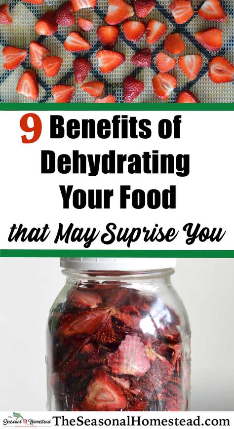 9 Benefits of Dehydrating Food that May Surprise You - The Seasonal Homestead Dehydrating For Beginners, What To Dehydrate, Dehydrated Recipes, Dehydrating Food Storage, Homesteading Life, Small Homestead, Food Dehydration, Dehydrating Food, Food Preserving