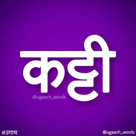 👀👀👀👰sorrry Hindi Typography, Ideas For Wallpaper, Funny Quotes In Hindi, Funky Quotes, Desi Quotes, Swag Quotes, Artist Humor, Desi Humor, Funny Attitude Quotes