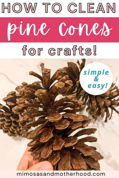 Dig Gifts, Diy Holiday Party, Pinecone Crafts Christmas, Pine Cone Art, Mushroom Crafts, How Do You Clean, Pine Cone Decorations, Cones Crafts, Pine Cone Crafts