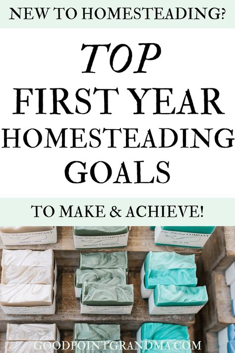 If you are new to homesteading or just don't know where to start, then these first year homesteading goals are for you! These are easy and attainable goals that our family achieved in our first year homesteading and that we recommend to others starting out. Homesteading can feel overwheling at first because there are so many options. Use this list to find the best goals in homesteading for your family specifically! You will be equipped to start strong and quickly. #homesteading #goals #firstyear First Steps To Homesteading, Quarter Acre Homestead, Homesteading Goals, Crunchy Lifestyle, Homesteading For Beginners, Homestead Inspiration, Attainable Goals, Homestead Layout, Acre Homestead