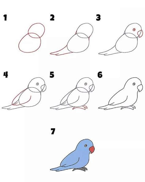 Guidez votre enfant pour apprendre à dessiner un perroquet simple et facile à comprendre Parrot Drawing, Step By Step Drawing, Easy Drawings, Parrot, Drawings, Art