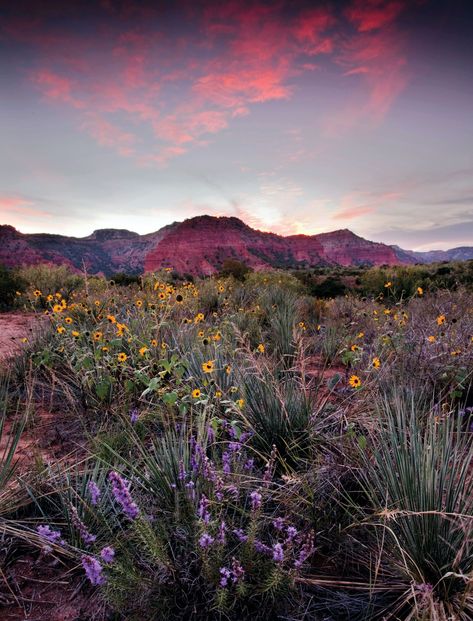 Texas Road Trips, Caprock Canyon State Park, Texas Sunset, Texas Destinations, Photos Black And White, Texas Parks, Texas Roadtrip, Texas Photo, Landscape Photography Tips