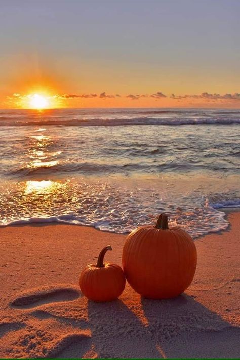 Fall Beach Scenes, Fall Beach Wallpaper Iphone, Autumn In Florida, Florida Fall Aesthetic, Autumn Beach Aesthetic, Fall Beach Aesthetic, Beach In Fall, Fall At The Beach, Coastal Pumpkins