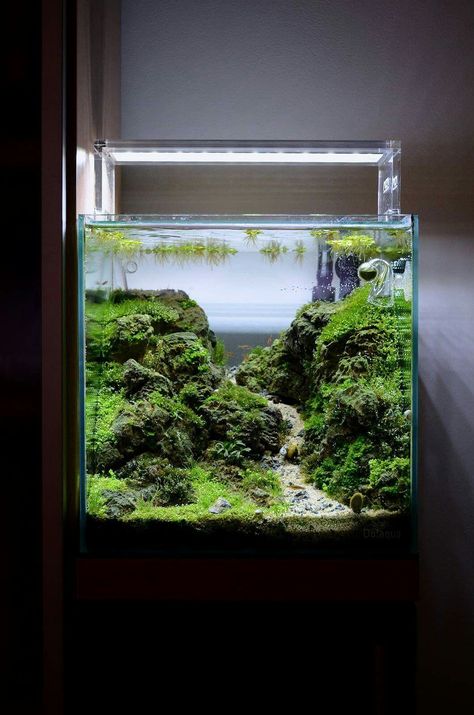 Unique Home Aquariums, Black Sand Aquascape, Nano Tank Aquascape, Nano Tank Aquascape Ideas, Aquarium For Home, Fish Tank Wallpaper, Aqua Planet, Aquarium Home Decor, Freshwater Aquascape