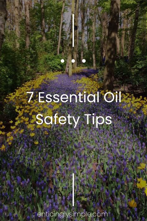 Are you looking to safely incorporate essential oils into your life? Discover 7 easy and effective ways to enjoy essential oils without worry. From diluting oils for safe application on your skin to exploring the benefits of using them in diffusers, these tips will guide you through best practices. Essential oils can enhance your home and personal care routines without relying on harsh chemicals. Learn how to maximize the benefits while keeping your health and safety front and center. Carpet Deodorizer, Personal Care Routine, Diluting Essential Oils, Essential Oil Safety, Natural Air Freshener, Facial Steaming, Essential Oils For Skin, Cleaning Spray, Relaxing Bath