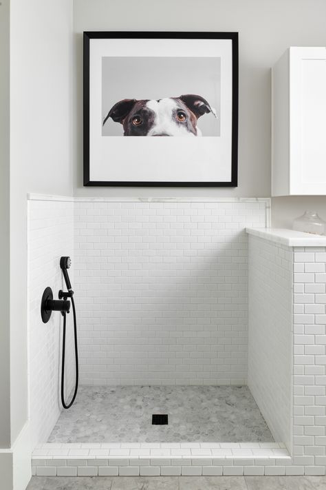 null Laundry With Pet Wash, Dog Shower In Home, Dog Faucet In Kitchen, Mudroom Laundry Room With Dog Wash, Laundry Room Ideas With Dog Wash Station, Pet Shower Station, Pet Mud Room, Pet Bath In Laundry Room, Laundry Dog Wash Station