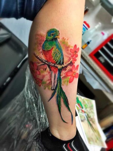 Quetzal Bird Tattoo, Guatemala Tattoo, Quetzal Tattoo, Quetzal Bird, Feminine Tattoo Sleeves, 3 Tattoo, Bird Tattoo, Tattoo Cover-up, Feminine Tattoos