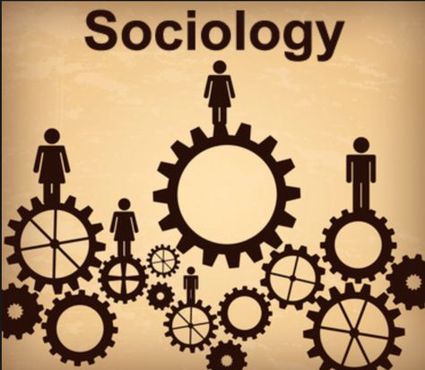 12 Signs You're A Sociology Major What Is Sociology, Sociology Major, Forensic Anthropology, Physics Classroom, Third Grade Science, Shri Ram Photo, Vintage Background, Materials Science, 12 Signs