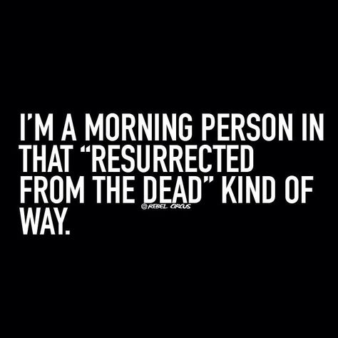 Morning Person Humor, Cocky Quotes, Monday Morning Humor, How To Sleep, Morning Quotes Funny, Morning Person, Images And Words, Funny Quotes About Life, Morning Humor