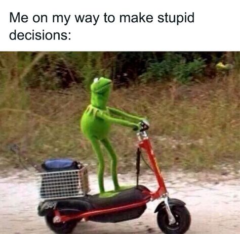 55 Kermit The Frog Memes That Might Make Your Day Kermit The Frog Memes, Guard Quotes, Kermit The Frog Meme, Kermit Memes, Kermit Meme, Kermit Funny, Frog Meme, Pretty Meme, True Memes