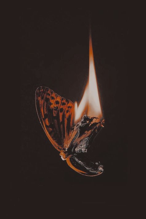 Rennaissance Art, Fire Art, Iphone Wallpaper App, Mood Instagram, Fantasy Aesthetic, Dark Photography, Ethereal Art, Painting Photos, Dnd Characters