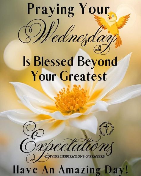 Good Morning Wishes Love, Wednesday Morning Greetings, Wednesday Prayer, Week Blessings, Wednesday Greetings, Wednesday Blessings, Morning Tuesday, Week Quotes, Special Good Morning