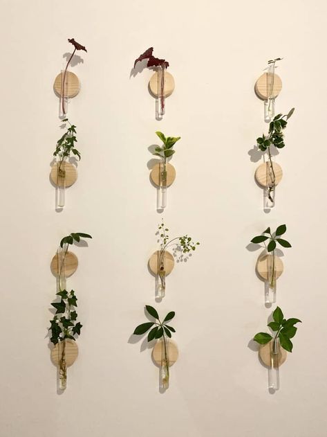 DIY Plant Propagation Stations | Apartment Therapy Test Tubes Plants, Test Tube Propagation Wall Diy, Test Tube Vase Wall, Test Tube Terrarium, Test Tube Wall Decor, Plants In Test Tubes, Test Tube Propagation Wall, Dollar Tree Propagation Station, Test Tube Diy