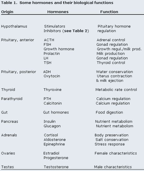 endocrine system table- hormones and organs - nursing school List Of Hormones And Their Functions, Endocrine Physiology, Hormones And Their Functions, Hormones Nursing, Human Endocrine System, Anatomy Studying, Physiology Facts, Endocrine System Hormones, Endocrine System Nursing