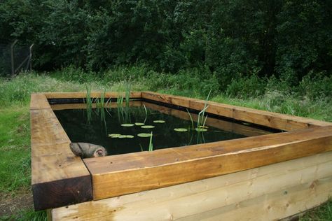 Small Backyard Ponds, Raised Pond, Fish Pond Gardens, Aquatic Garden, Garden Pond Design, Railway Sleepers, Diy Pond, Pond Ideas, Pond Design