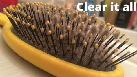 Clean Hairbrush, Free Brushes, Brush Cleanser, Free Brush, Clean Hair, Healthy Beauty, Favorite Cookies, Me Clean, Free Hair