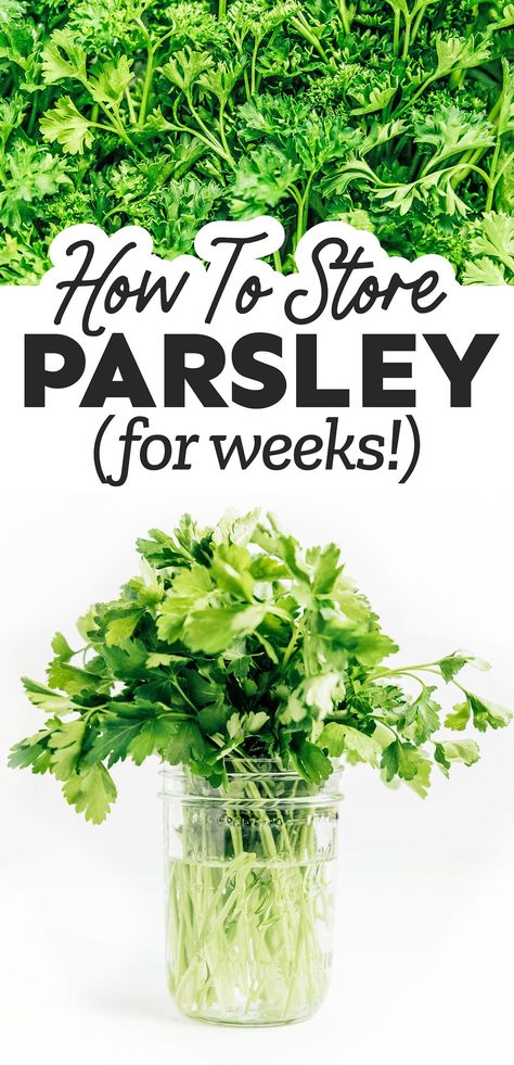 Fresh Parsley Recipes, Preserve Fresh Herbs, Store Fresh Herbs, Mint Herb, Parsley Recipes, Preserving Herbs, Healthy Budget, Storing Vegetables, Herb Garden In Kitchen