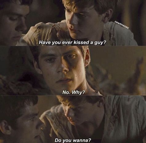 newtmas newtmas newtmas <3 Newtmas Memes, Newtmas Fanart, Maze Runner Trilogy, Maze Runner Funny, Maze Runner Cast, Newt Maze Runner, Maze Runner Movie, Thomas Sangster, Thomas Brodie Sangster