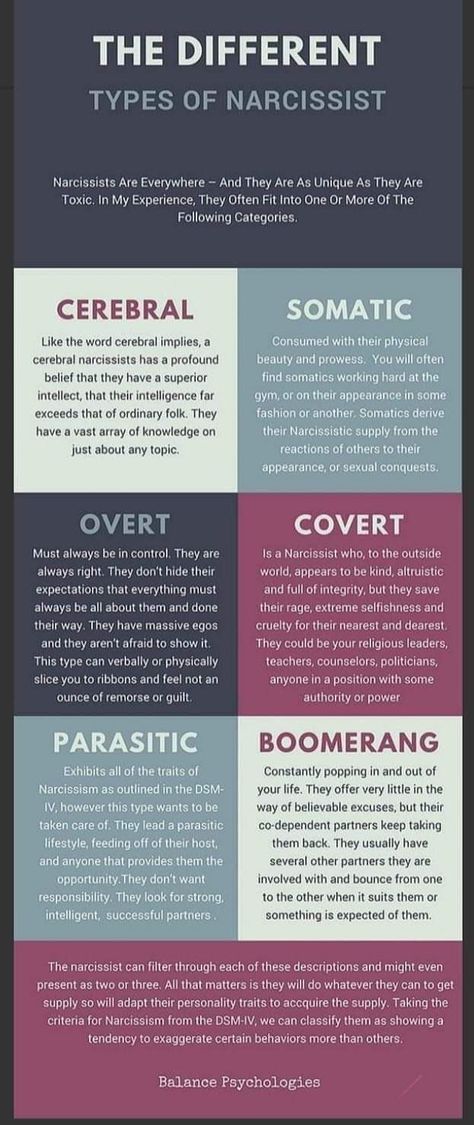 Recovering From Narcisstic Relationship, Types Of Narcissists, Narcissistic Supply, Narcissism Relationships, College Professor, Narcissistic Behavior, Mental And Emotional Health, Social Worker, Toxic Relationships