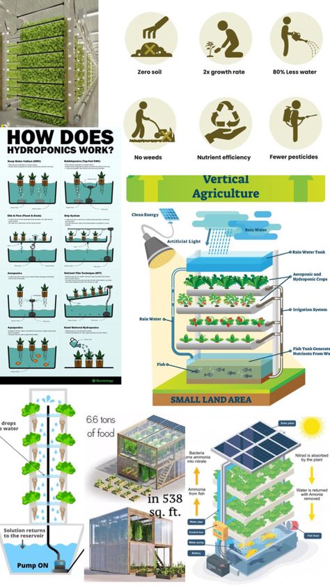 Vertical and more flexible agriculture Vertical Hydroponics, Hydroponic Farming, More Flexible, Vertical Farming, Food Garden, Urban Farming, Hydroponics, Agriculture, Design